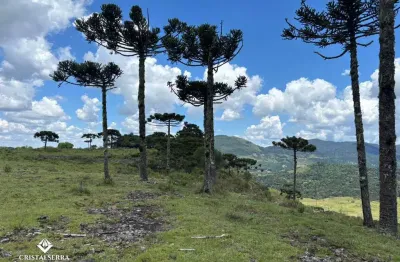 Linda área de 2 hectares, com a melhor vista de altitude da região de urubici