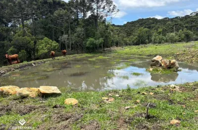 3 ha localizada na tranquila e charmosa localidade de pericó proximo a urubici