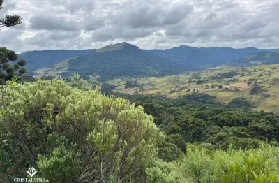 Área rural na serra catarinese, com 42 hectares com excelente aproveitamento