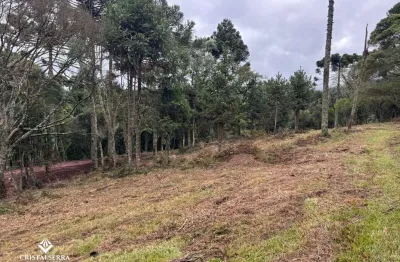 Área de 2 hectares à venda em urubici – localidade de santa tereza