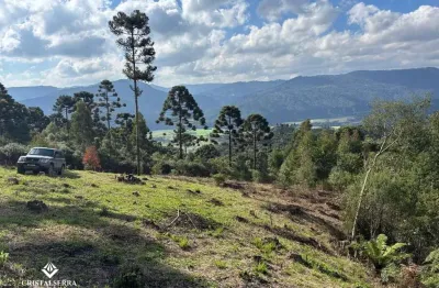 Chácara com 2 hectares em localização privilegiada – santa tereza, urubici/sc