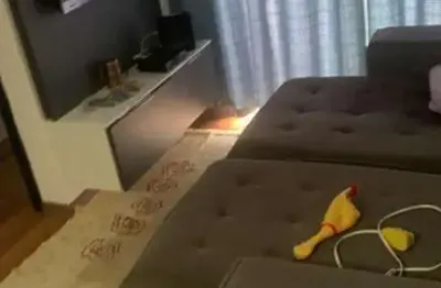 Apartamento para venda em são paulo, jardim belem, 2 dormitórios, 1 banheiro, 1 vaga