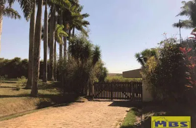 Chácara / sítio com 3 quartos à venda na Avenida Luiz Carlos Brugnerotto, 20, Cardeal, Elias Fausto