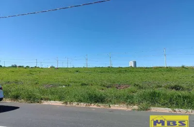 Terreno comercial à venda na Rua Manoel Ribeiro Martins, 20, Jardim das Araras, Indaiatuba