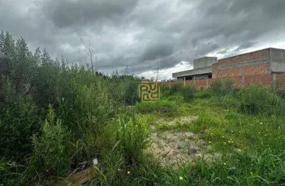 Terreno à venda, 390 m² por r$ 460.000,00 - afonso pena - são josé dos pinhais/pr