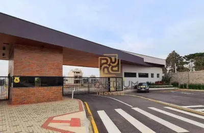 Terreno à venda, 245 m² por r$ 253.400,00 - costeira - são josé dos pinhais/pr