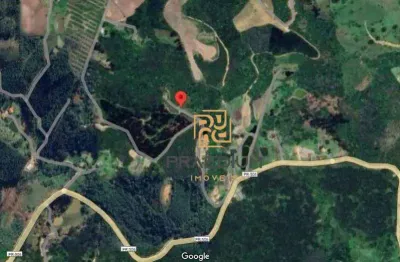 Chácara à venda, 7000 m² por r$ 105.000,00 - palmital - bocaiúva do sul/pr
