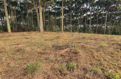 Terreno à venda, 1001 m² por R$ 750.000 - Vila Fuck - Piraquara/PR