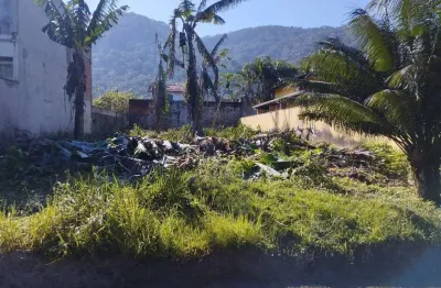 Terreno totalmente livre de vegetação residencial mar verde