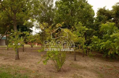 Terreno à venda no Jardim Alvorada, Marília 