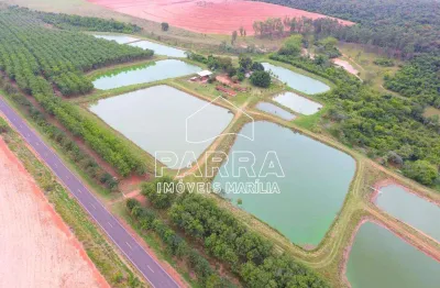 Chácara / sítio com 1 quarto à venda no Centro(Varpa), Tupã 