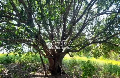 Chácara / sítio com 1 quarto à venda na Área Rural de Marília, Marília 