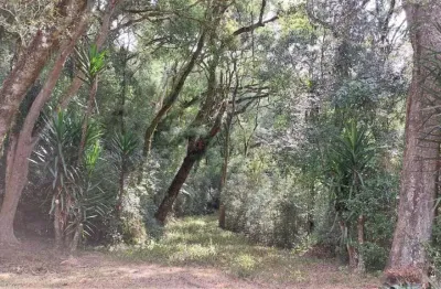 Chácara / sítio com 2 quartos à venda na Zona Rural, Caxias do Sul 