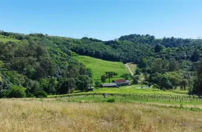 Chácaras à venda em caxias do sul

 oportunidade única para