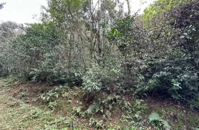Chácara / sítio com 3 quartos à venda no Nova Sardenha (Distrito), Farroupilha 