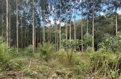Chácara / sítio à venda no Caravaggio, Farroupilha 