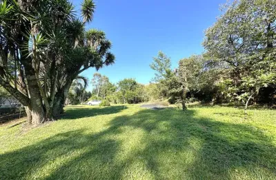 Chácara / sítio com 3 quartos à venda no Nova Sardenha (Distrito), Farroupilha 
