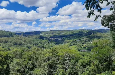 Terreno à venda no Linha 40, Caxias do Sul 