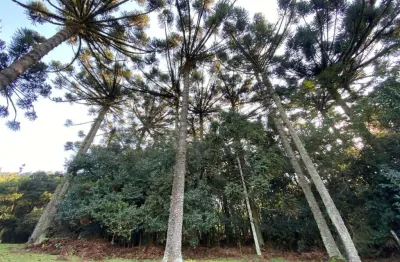 Chácara / sítio com 1 quarto à venda no Alvorada, Farroupilha 