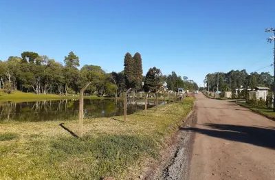 Chácara / sítio com 2 quartos à venda na Zona Rural, Farroupilha 