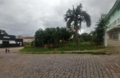 Terreno à venda no Salgado Filho, Caxias do Sul 