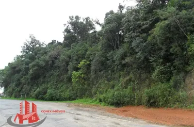 Terreno à venda na Nossa Senhora das Graças, Caxias do Sul 