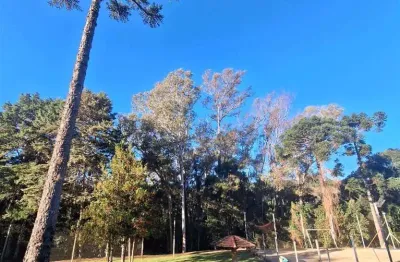 Terreno à venda na Nossa Senhora da Saúde, Caxias do Sul 
