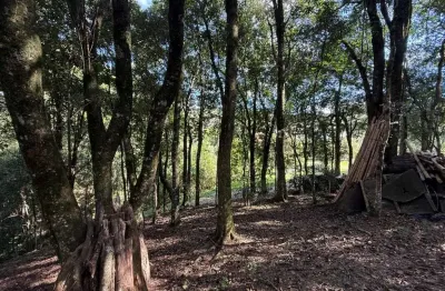 Terreno á venda no bairro salgado filho em caxias do sul!
- conta