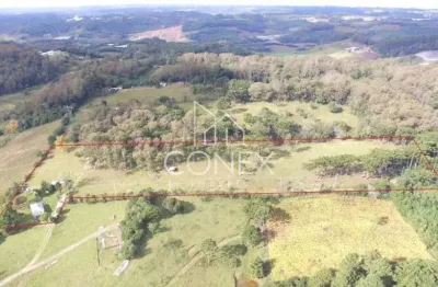 Chácara / sítio à venda no São Marcos, Farroupilha 