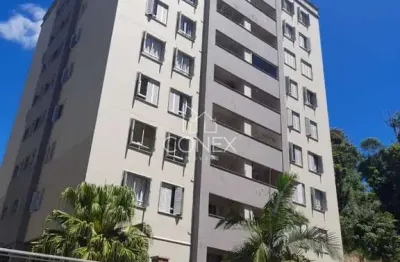 Venda - apartamentos - 3 dormitórios - nossa senhora de lourdes - caxias do sul - rs