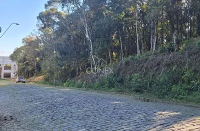 Terreno à venda na Ana Rech, Caxias do Sul 