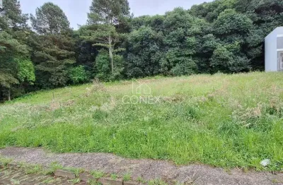 Terreno à venda no Vinhedos, Caxias do Sul 