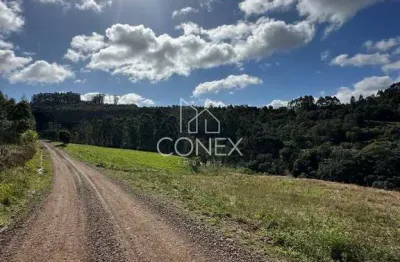 Area de terras em são vendelino na localidade de  linha general neto - barão. rs