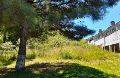 Terreno à venda no Monte Verde, Farroupilha 