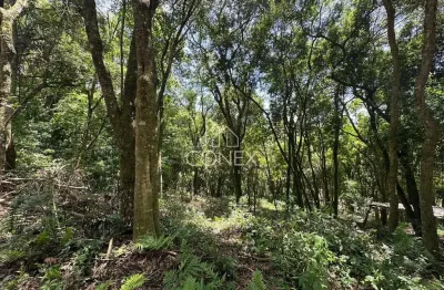 Terreno à venda na Zona Rural, Farroupilha 