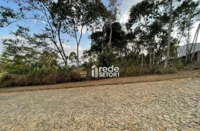 Terreno à venda, 1800 m² por r$ 220.000,00 - nova califórnia - juiz de fora/mg