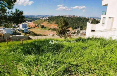 Terreno à venda, 525 m² por r$ 350.000,00 - spinaville - juiz de fora/mg