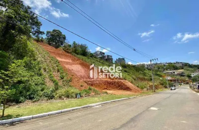 Terreno à venda, 979 m² de r$289.000,00 por r$ 230.000 - portal do aeroporto - juiz de fora/mg