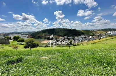 Terreno à venda, 750 m² por r$ 350.000,00 - spina ville ii - juiz de fora/mg