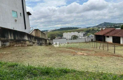 Terreno à venda, 542 m² por r$ 350.000,00 - spina ville ii - juiz de fora/mg