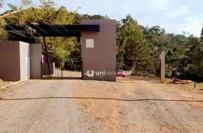 Terreno à venda, 20000 m² por r$ 149.000,00 - santa cruz - juiz de fora/mg