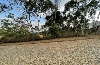 Terreno à venda, 1800 m² por r$ 220.000,00 - nova califórnia - juiz de fora/mg