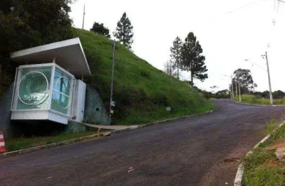 Terreno à venda, 526 m² por R$ 370.000,00 - São Pedro - Juiz de Fora/MG