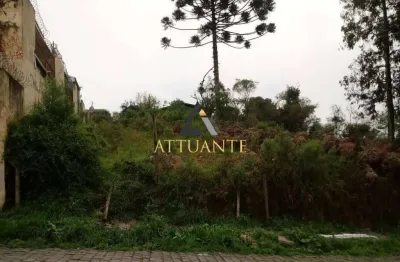 Terreno à venda no São Caetano, Caxias do Sul 