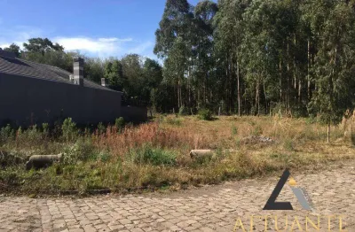 Terreno à venda no Desvio Rizzo, Caxias do Sul 