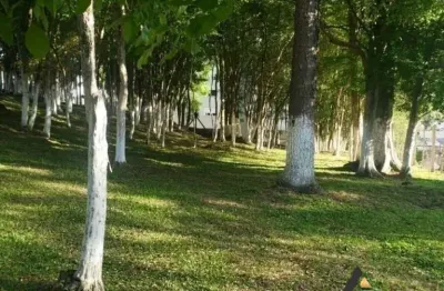 Terreno à venda em Serrano, Caxias do Sul 
