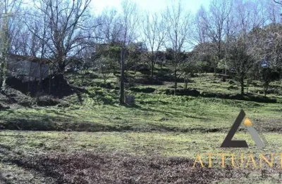 Terreno à venda no São Caetano, Caxias do Sul 