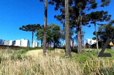 Terreno à venda na Vila Verde, Caxias do Sul 
