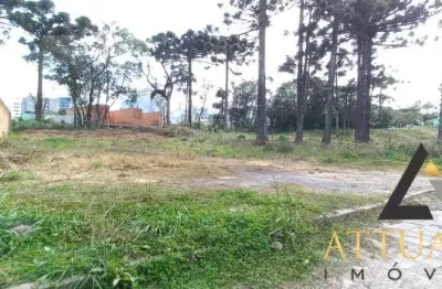 Terreno à venda na Vila Verde, Caxias do Sul 