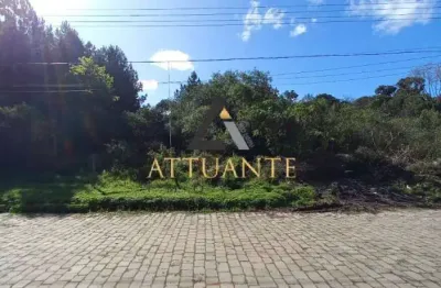 Terreno à venda na Bela Vista, Caxias do Sul 